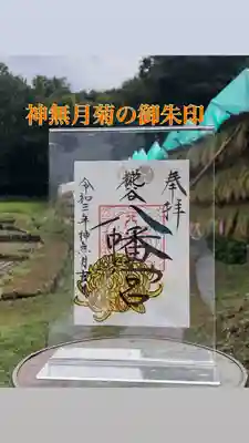 大輪の菊の御朱印
岩絵具で描いています。