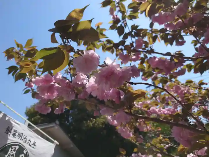 住吉大社(大阪府)