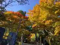 武蔵御嶽神社の自然