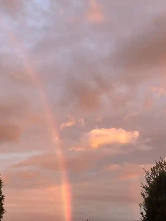 櫻木神社(千葉県)