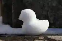 大鏑神社の授与品その他