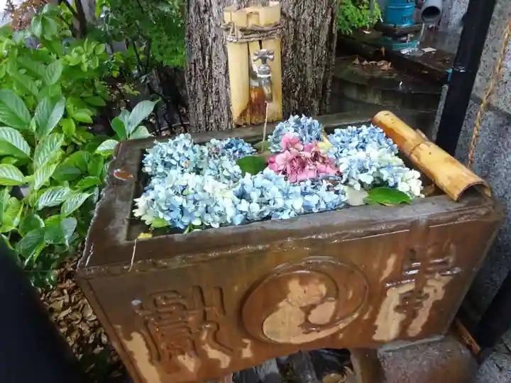 菊名神社の手水舎