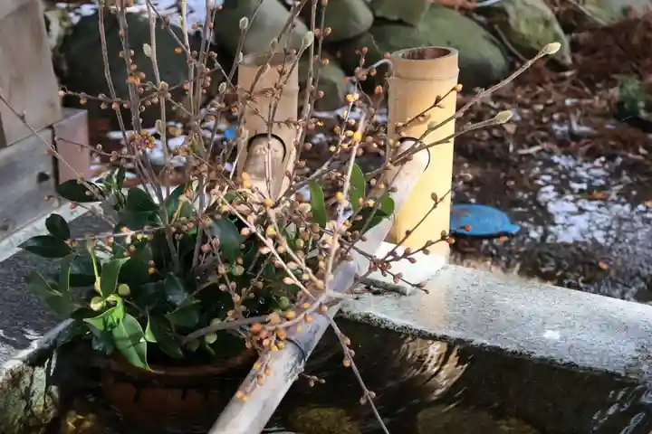 高司神社〜むすびの神の鎮まる社〜の手水舎