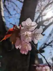 手稲神社(北海道)