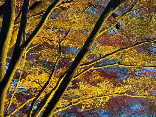 秩父御嶽神社(埼玉県)