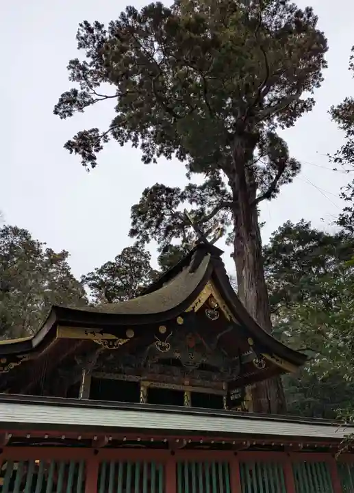 鹿島神宮(茨城県)