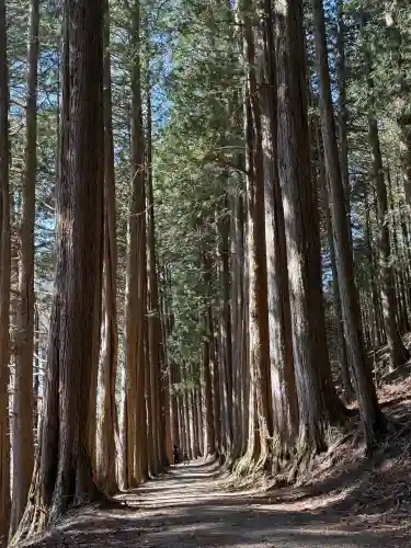 三峯神社奥宮の{uncategorized: "未分類", other: "その他", undefined: "問題あり", building: "その他建物", grave: "お墓", sacred_gate: "鳥居", guardian: "狛犬", statue: "像", buddha: "仏像", history: "歴史", nature: "自然", garden: "庭園", animal: "動物", pagoda: "塔", temizu: "手水舎", mountain_gate: "山門・神門", sanctuary: "本殿・本堂", subordinate: "末社・摂社", art: "芸術", scenery: "景色", jizo: "地蔵", ema: "絵馬", goshuin: "御朱印", omikuji: "おみくじ", items: "授与品その他", amulet: "お守り", goshuincho: "御朱印帳", eats: "食事", festival: "お祭り", votive_dance: "神楽", shichigosan: "七五三参", wedding: "結婚式", experience: "体験その他", initially: "初詣", around: "周辺", anti_infection: "感染症対策"}