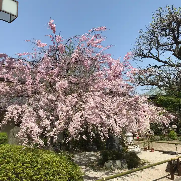 龍眼寺(萩寺)の自然
