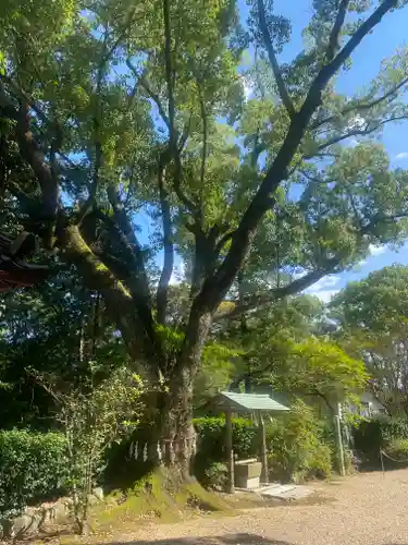 佐備神社の自然