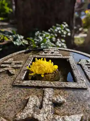 常性寺(東京都)