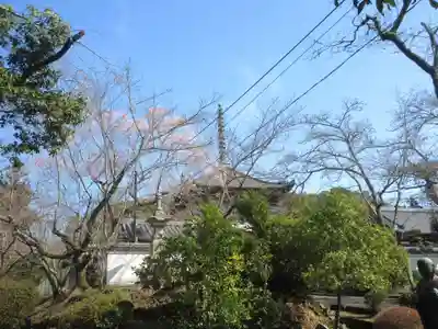 根来寺(和歌山県)