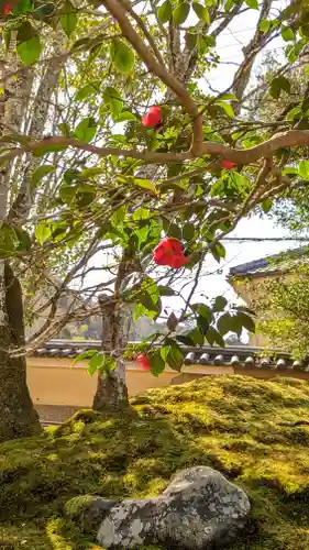 霊鑑寺門跡(京都府)