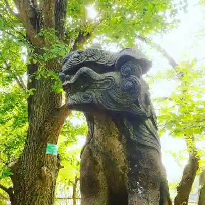 市谷亀岡八幡宮の狛犬