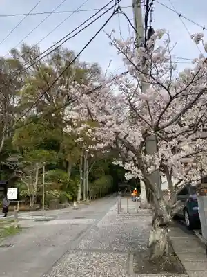 妙本寺(神奈川県)