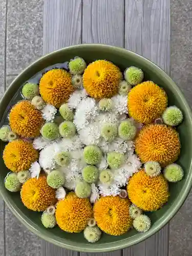 滑川神社 - 仕事と子どもの守り神の手水舎