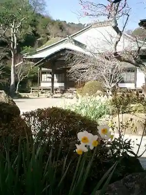 海蔵寺の本殿・本堂