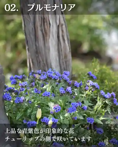 宝光寺(北海道)