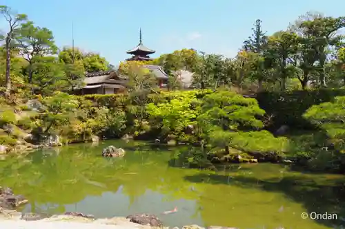 仁和寺(京都府)