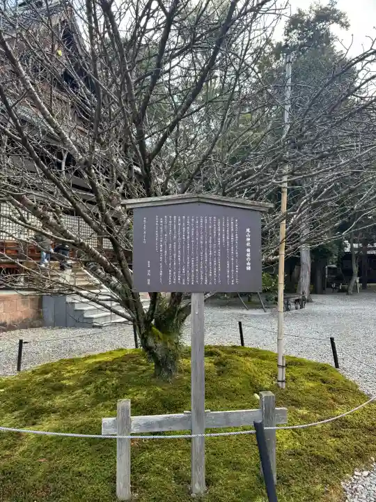 尾山神社の{uncategorized: "未分類", other: "その他", undefined: "問題あり", building: "その他建物", grave: "お墓", sacred_gate: "鳥居", guardian: "狛犬", statue: "像", buddha: "仏像", history: "歴史", nature: "自然", garden: "庭園", animal: "動物", pagoda: "塔", temizu: "手水舎", mountain_gate: "山門・神門", sanctuary: "本殿・本堂", subordinate: "末社・摂社", art: "芸術", scenery: "景色", jizo: "地蔵", ema: "絵馬", goshuin: "御朱印", omikuji: "おみくじ", items: "授与品その他", amulet: "お守り", goshuincho: "御朱印帳", eats: "食事", festival: "お祭り", votive_dance: "神楽", shichigosan: "七五三参", wedding: "結婚式", experience: "体験その他", initially: "初詣", around: "周辺", anti_infection: "感染症対策"}