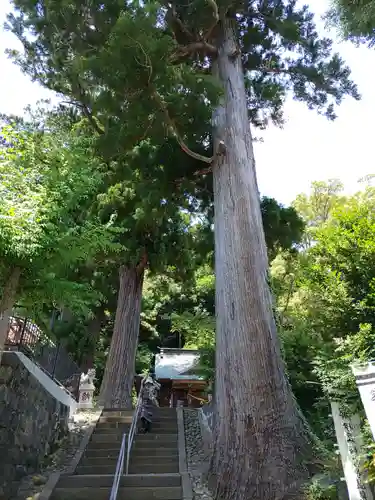 日枝神社のその他建物
