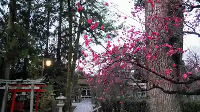 北野天満宮のその他建物