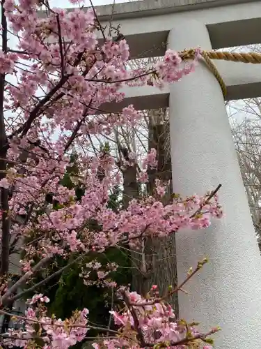 越谷香取神社の自然