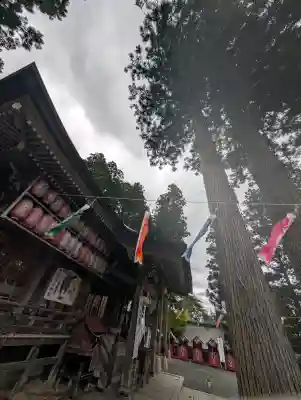 志和稲荷神社の{uncategorized: "未分類", other: "その他", undefined: "問題あり", building: "その他建物", grave: "お墓", sacred_gate: "鳥居", guardian: "狛犬", statue: "像", buddha: "仏像", history: "歴史", nature: "自然", garden: "庭園", animal: "動物", pagoda: "塔", temizu: "手水舎", mountain_gate: "山門・神門", sanctuary: "本殿・本堂", subordinate: "末社・摂社", art: "芸術", scenery: "景色", jizo: "地蔵", ema: "絵馬", goshuin: "御朱印", omikuji: "おみくじ", items: "授与品その他", amulet: "お守り", goshuincho: "御朱印帳", eats: "食事", festival: "お祭り", votive_dance: "神楽", shichigosan: "七五三参", wedding: "結婚式", experience: "体験その他", initially: "初詣", around: "周辺", anti_infection: "感染症対策"}
