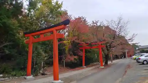 竹中稲荷神社（吉田神社末社）の鳥居