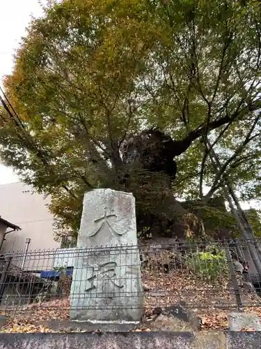 犬塚・犬塚の欅(滋賀県)