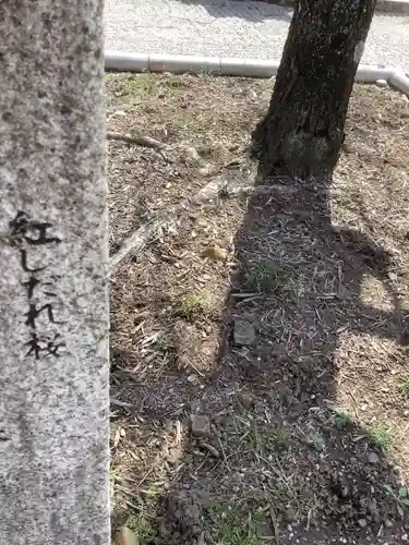 長蔵寺(岐阜県)