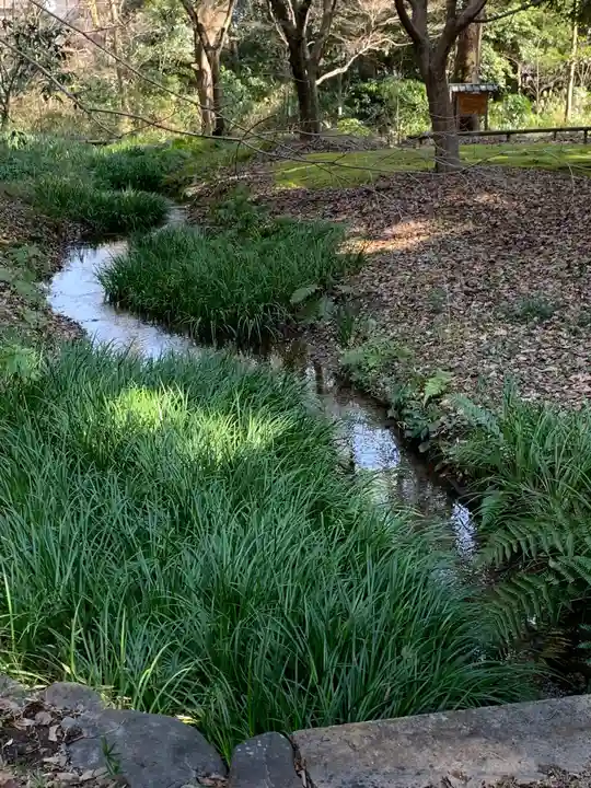 賀茂御祖神社(下鴨神社)の庭園