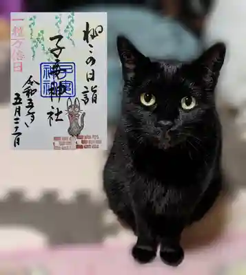 ねこの日詣御朱印 5月