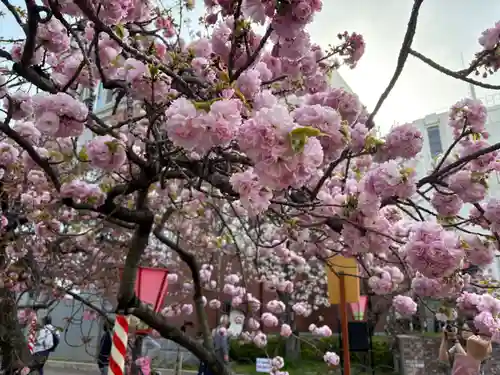 大阪天満宮(大阪府)