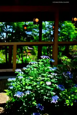 川越氷川神社(埼玉県)