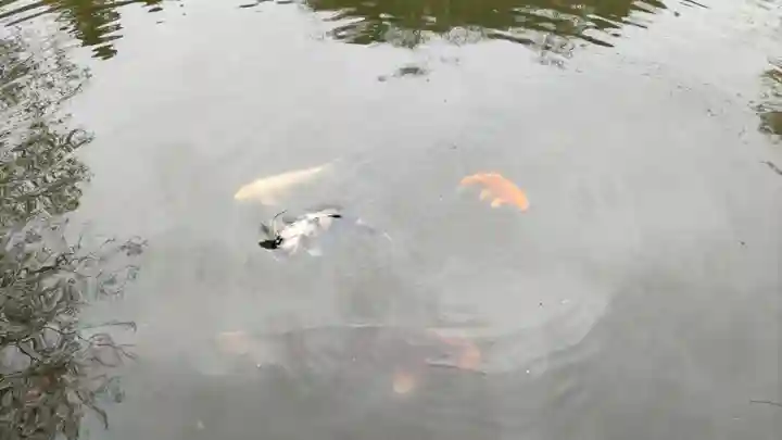 本経寺(栃木県)