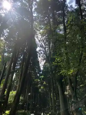 上色見熊野座神社(熊本県)