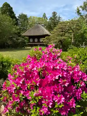 春日大社(奈良県)