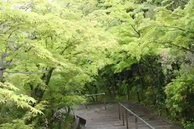 西應寺(滋賀県)