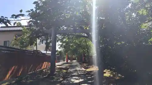 竹中稲荷神社（吉田神社末社）(京都府)