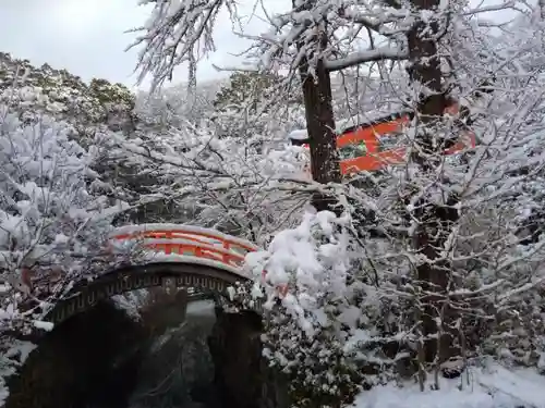 賀茂御祖神社（下鴨神社）の景色