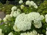 熊谷寺(徳島県)