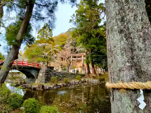 伊太祁曽神社の庭園