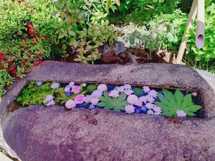 一乗寺(東京都)