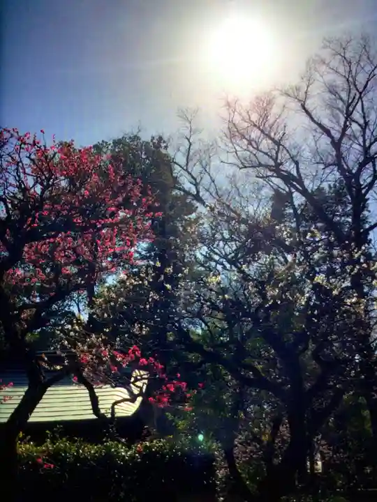 布多天神社(東京都)