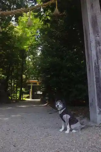伊和神社の動物