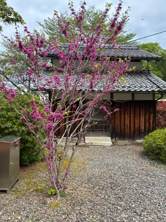 萬徳寺(福井県)