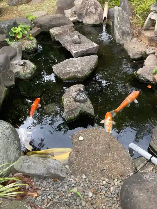 永平寺別院長谷寺(東京都)