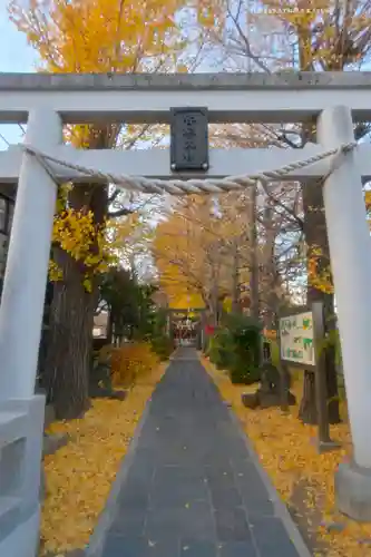 越谷香取神社の鳥居