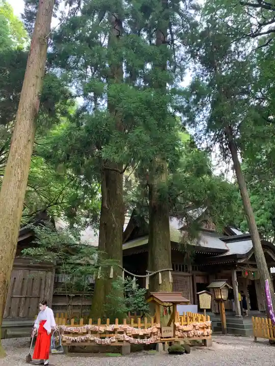 高千穂神社のその他建物