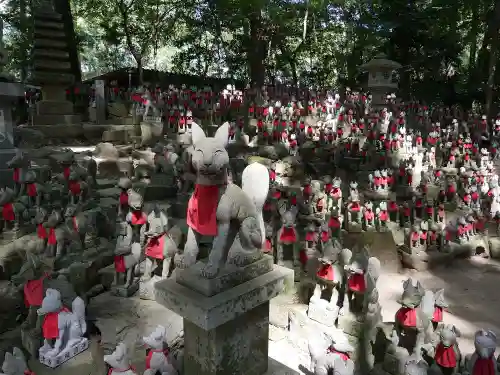 豊川閣　妙厳寺の狛犬